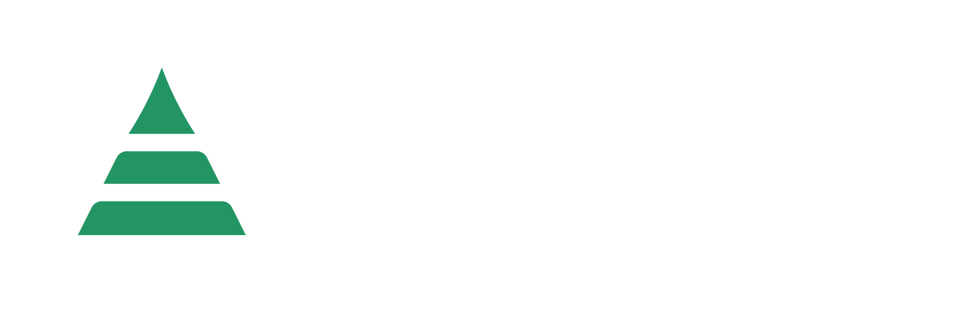 NeverFap Türkiye