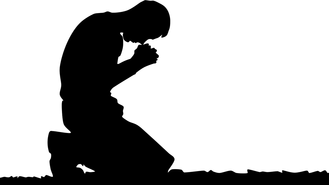 1000035384.png