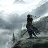 Lonely Warrior